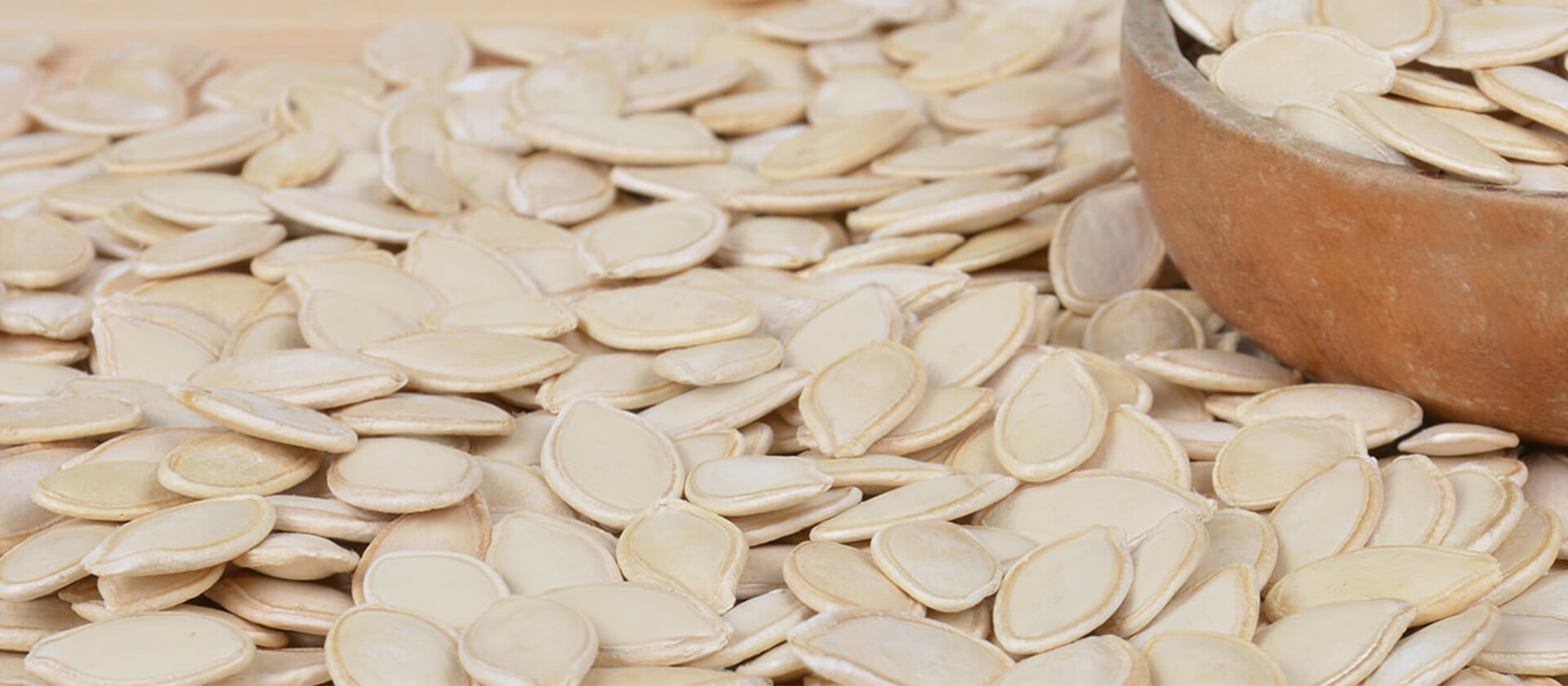 slider-nevsehir-pumpkin-seedss slider-nevsehir-pumpkin-seedss