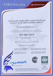 certificate-iso-9001-20199