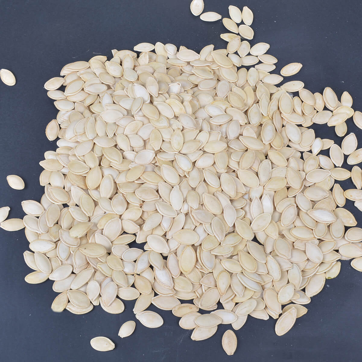 fatpumpkinseeds2 Anka Kuruyemiş