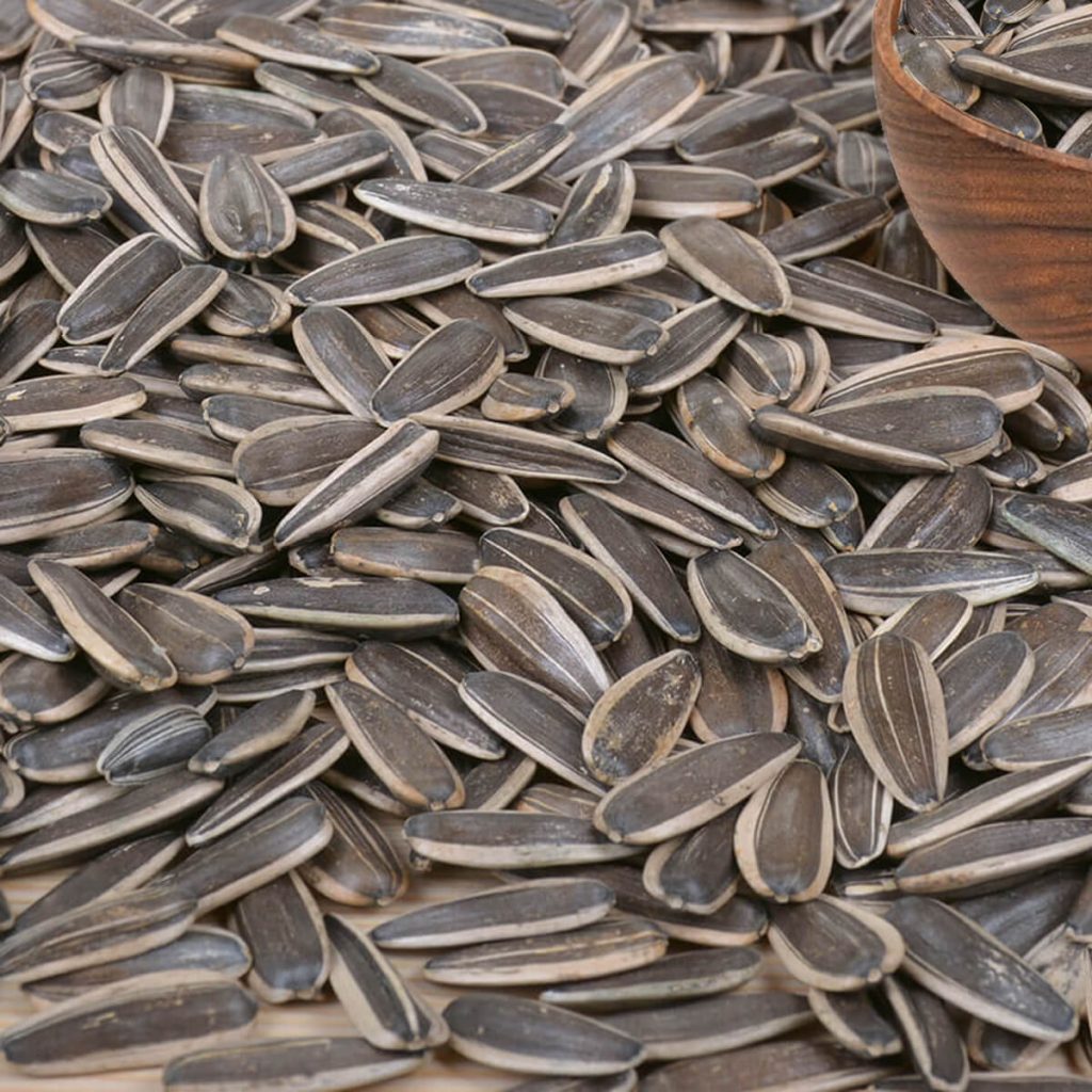 Raw Black Sunflower Seeds Anka Kuruyemiş